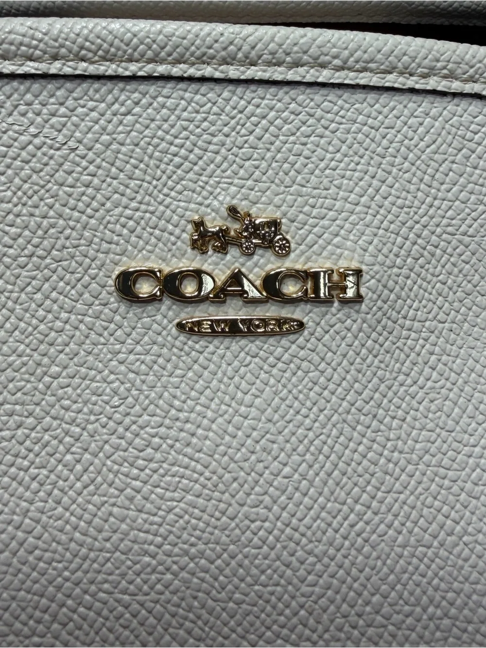 Coach Celestial 2017 Rare Highly Collectible Stardust Margot Carryall